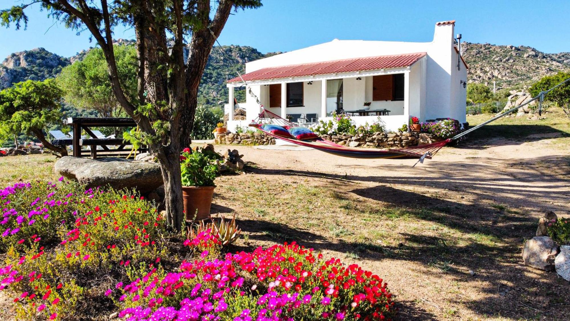 Villa K&K House à Olbia Extérieur photo